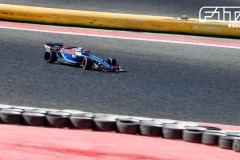 GP-313