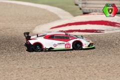 Lambo-137