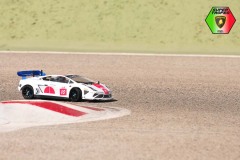 Lambo-172