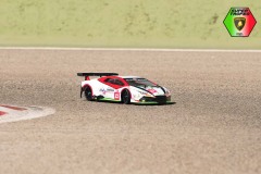 Lambo-175