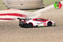 Lambo-178