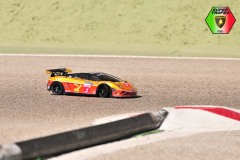 Lambo-181