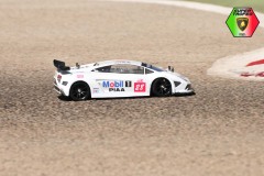 Lambo-202