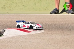 Lambo-203