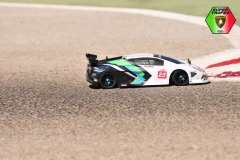 Lambo-207