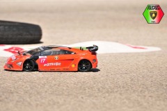 Lambo-231