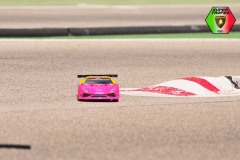 Lambo-233