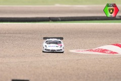 Lambo-235