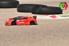 Lambo-238