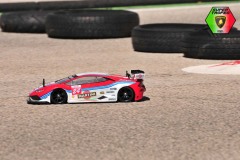 Lambo-246