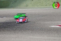 Lambo-261