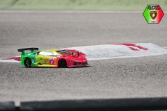 Lambo-262