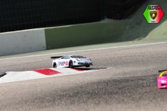 Lambo-263