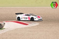 Lambo-49