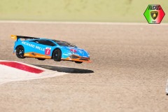 Lambo-50