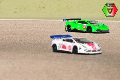Lambo-56