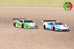 Lambo-81