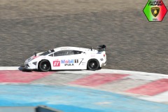 Trofeo-Lamborghini-F1Italianseries-Gianni-modellismo-116