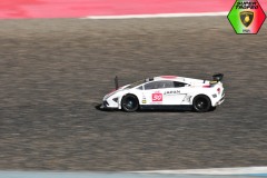 Trofeo-Lamborghini-F1Italianseries-Gianni-modellismo-64