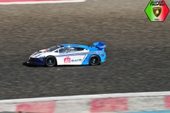 Trofeo-Lamborghini-F1Italianseries-Gianni-modellismo-65