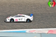 Trofeo-Lamborghini-F1Italianseries-Gianni-modellismo-95