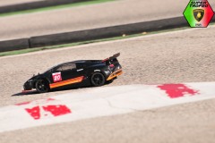 Lambo-4-155