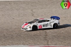 Lambo-4-43