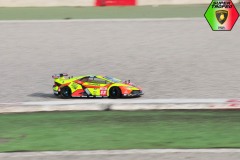 Lambo-4-6