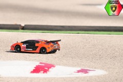 Lambo-4-81