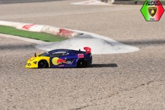 Lambo-6-131
