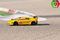 Lambo-6-134