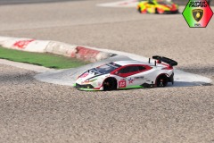 Lambo-6-135