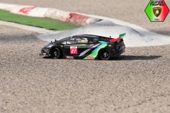Lambo-6-137