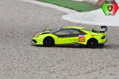 Lambo-6-173
