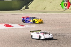 Lambo-6-19