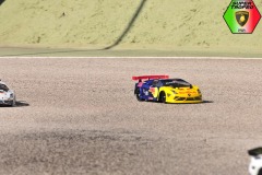 Lambo-6-20