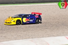 Lambo-6-24