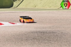 Lambo-6-31