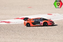 Lambo-6-36