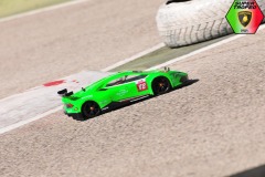 Lambo-6-50