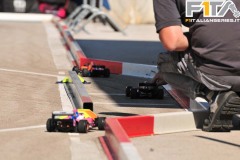 GP12-231