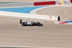 GP12-317