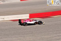 GP12-65