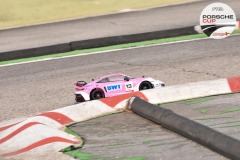 PCup-100