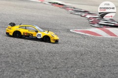 PCup-133