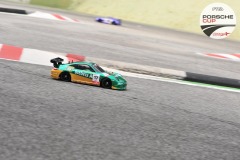 PCup-171