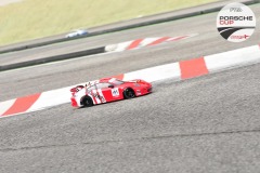 PCup-174