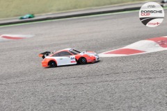 PCup-309