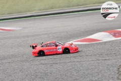 PCup-311