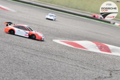 PCup-319